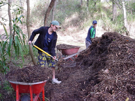 Compost  Workers