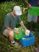 John Beumer adds to prawns to the trap