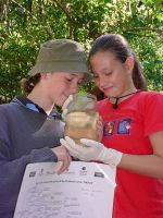 Hannah & Elise check against the ID chart