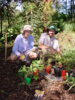 Tristan and Andrew collect the plants