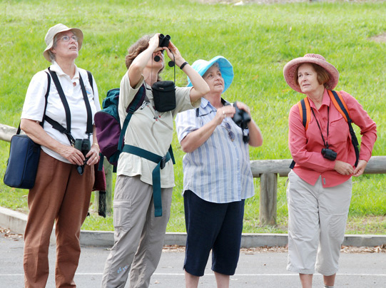 Dawn Muir points out an interesting bird to the group at Kalinga Park