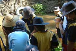 image students sampling fish for identification