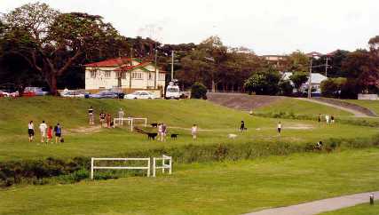 Impacts of dog off-leash areas